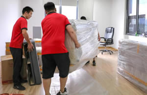 տ�����ٰ���