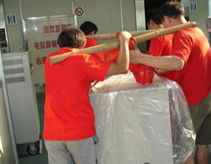 տ���������